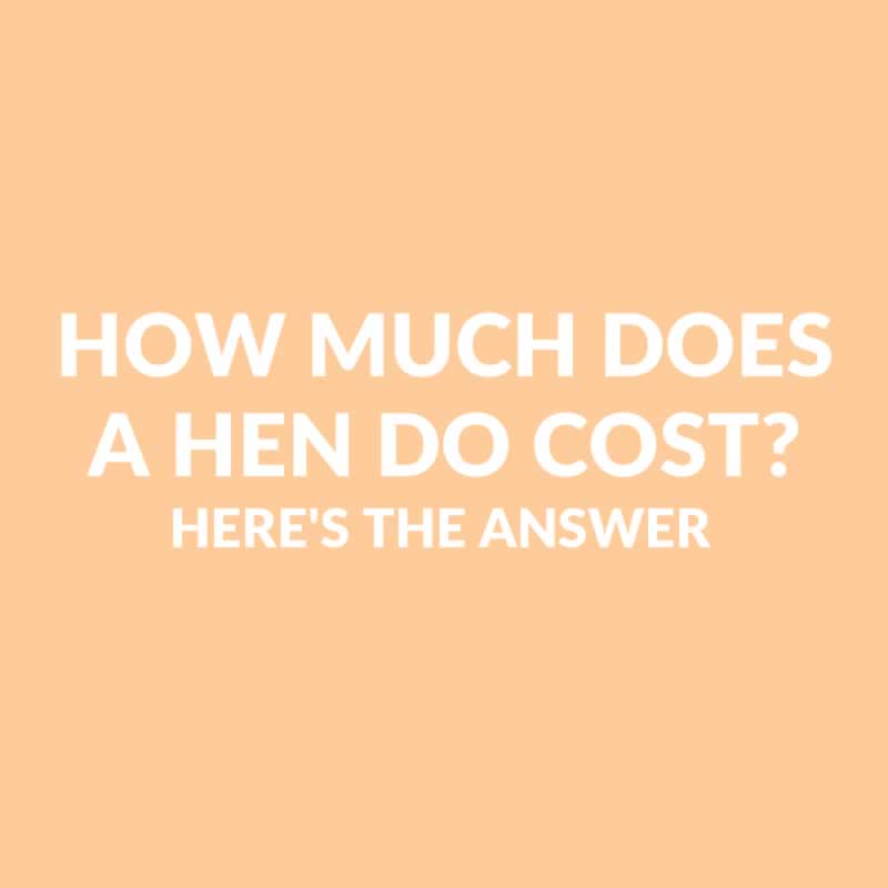 How Much Does A Hen Do Cost? 