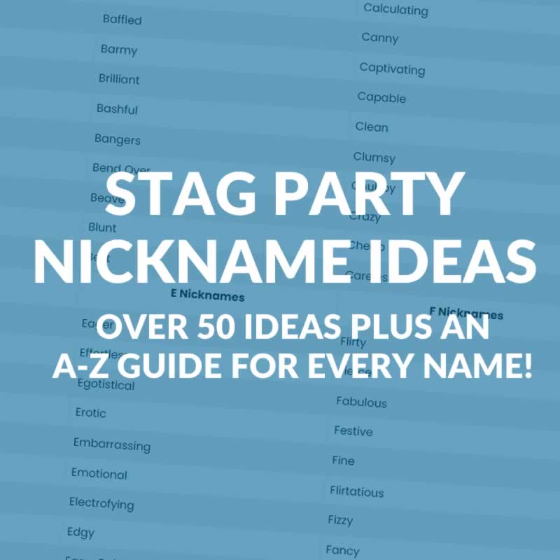 Stag Do Nicknames - 50+ Ideas For Your Stag Party T Shirts