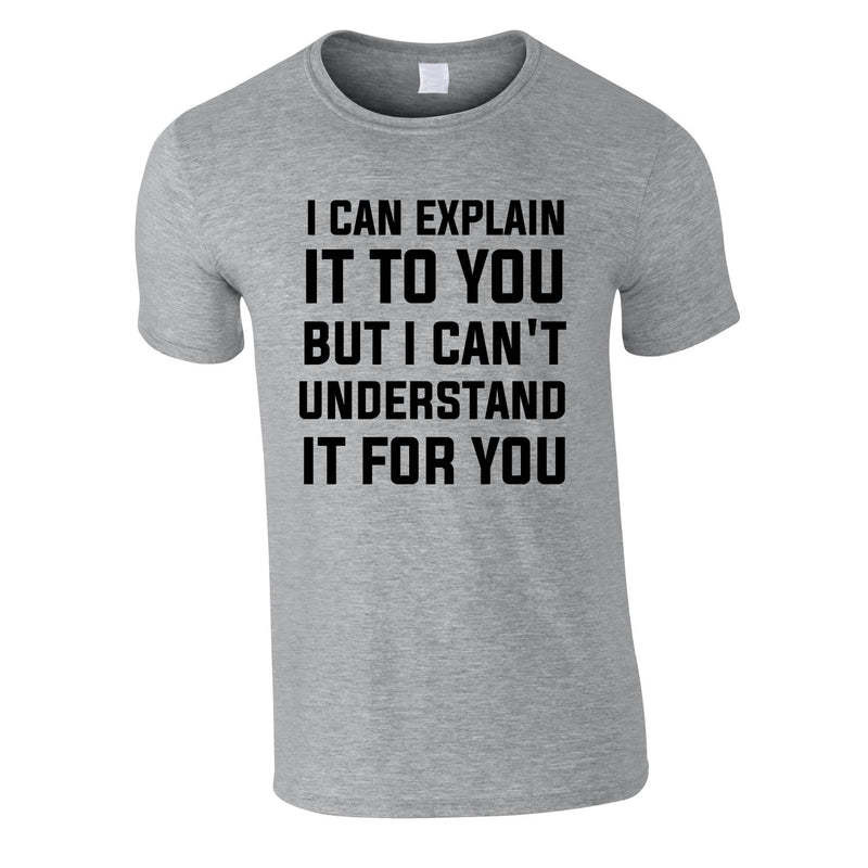 I Can Explain It To You But I Can't Understand It For You Tee In Grey
