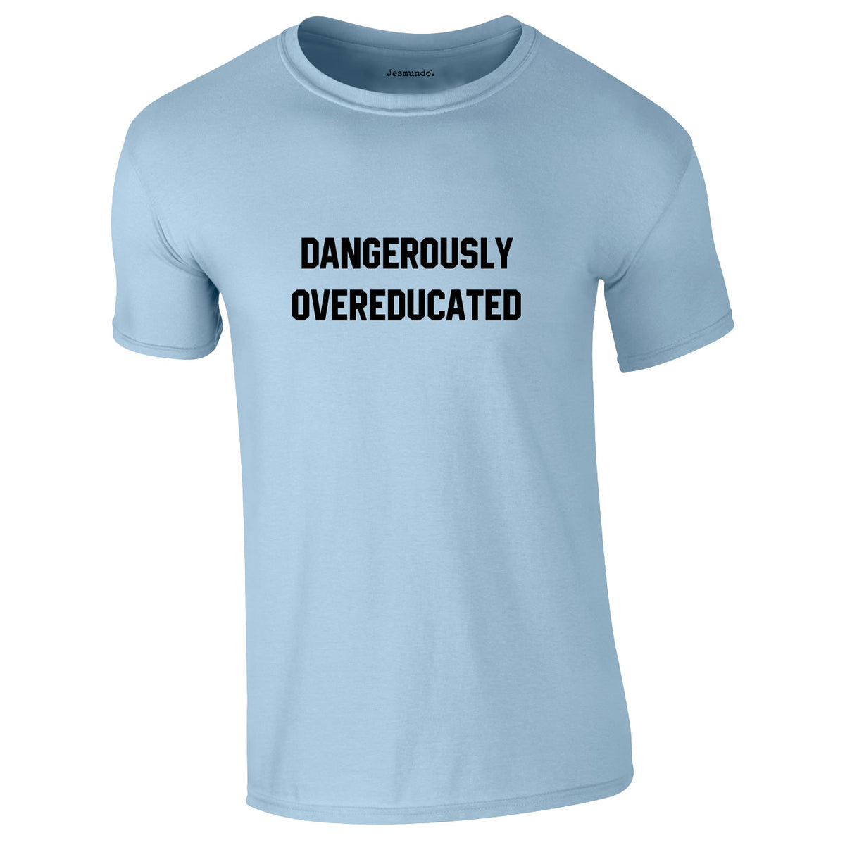 Dangerously Overeducated Tee In Sky