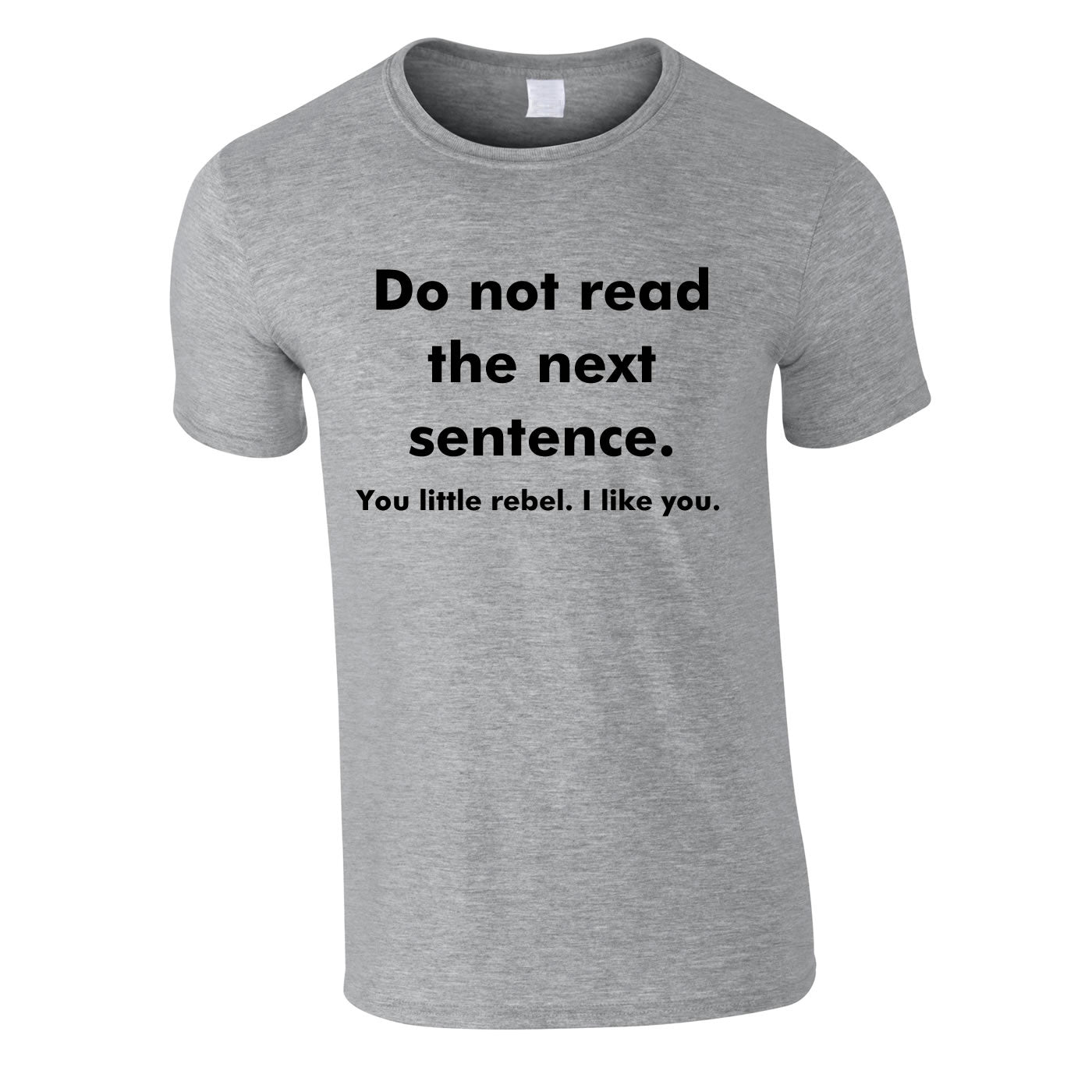 Do Not Read The Next Sentence - You Little Rebel, I Like You Tee In Grey