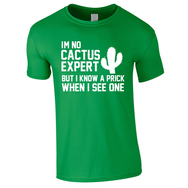 I'm Not Cactus Expert Tee In Green