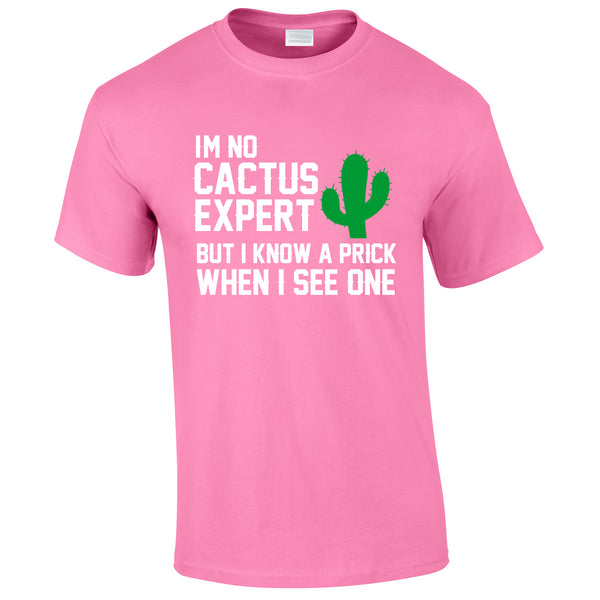 I'm Not Cactus Expert Tee In Pink