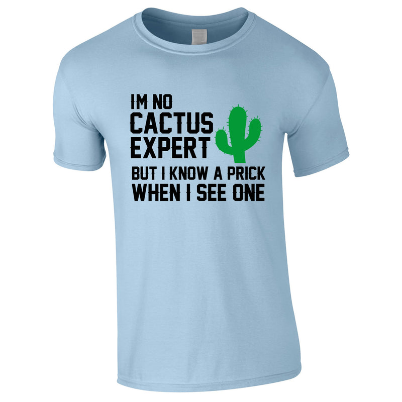 I'm Not Cactus Expert Tee In Sky