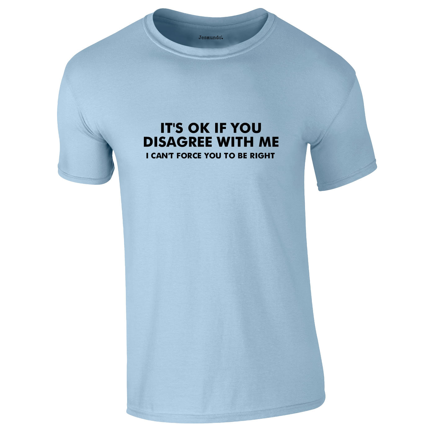 It's OK If You Disagree Tee In Sky