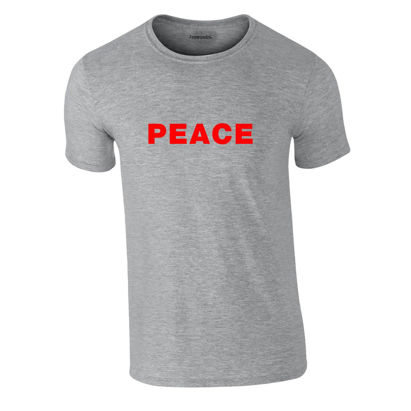 Peace Slogan Tee In Grey