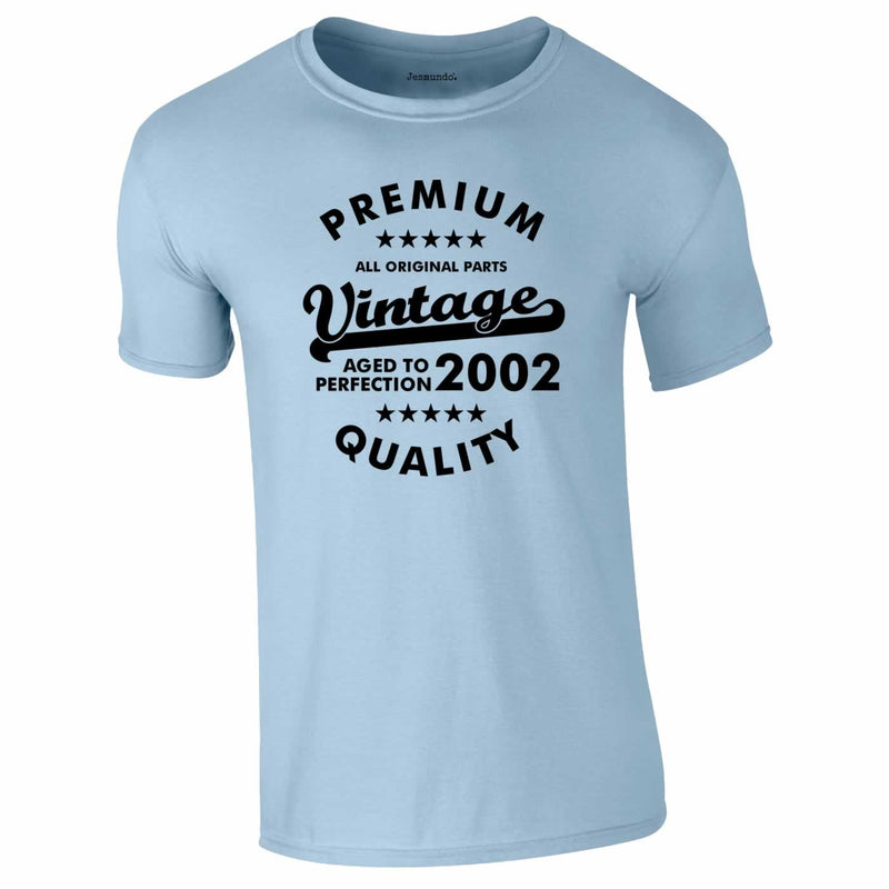 Premium Vintage 2002 Tee In Sky Blue