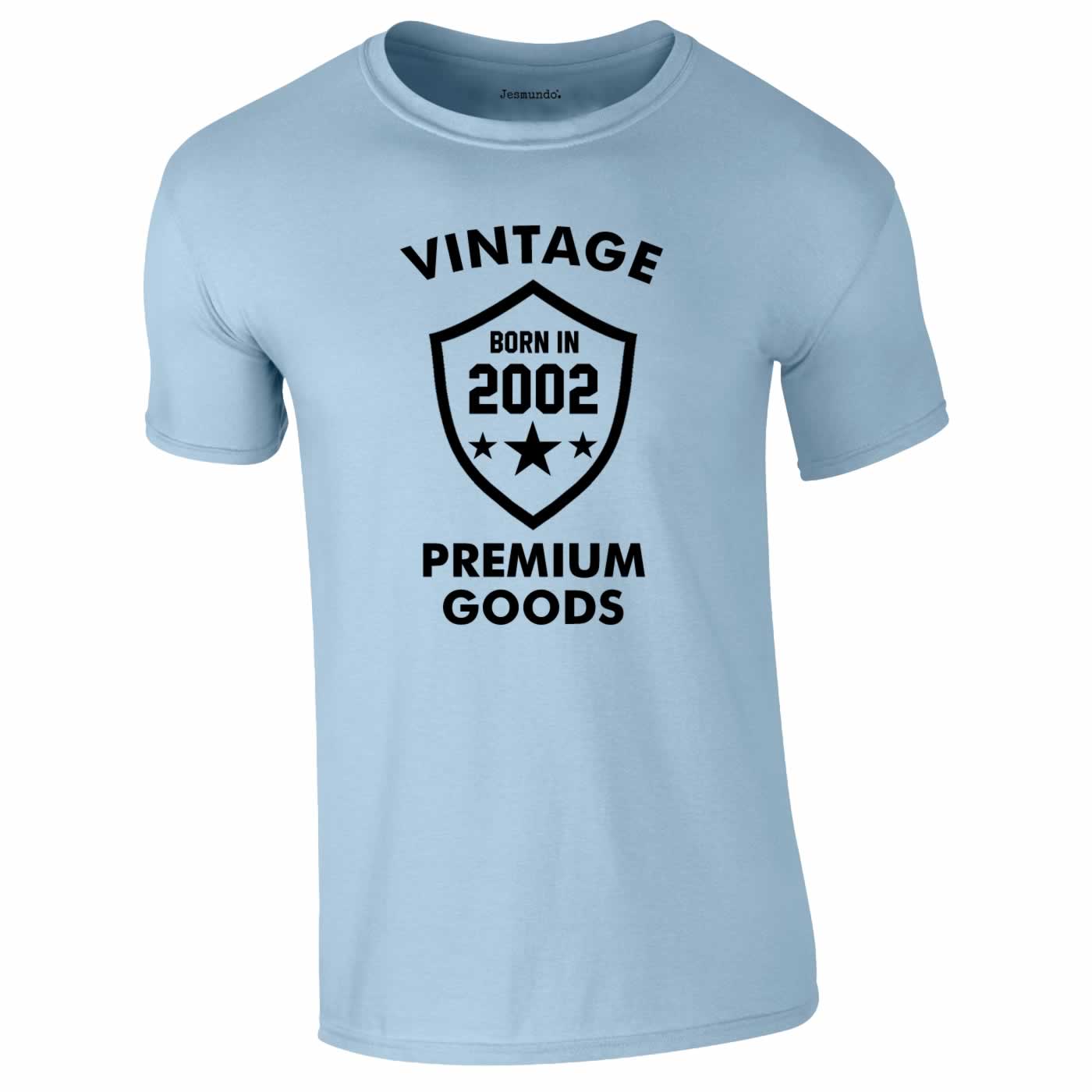 Vintage Born In 2002 Tee In Sky
