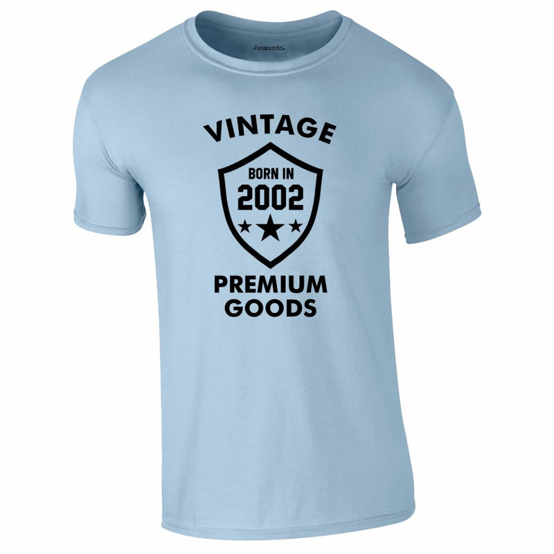 Vintage Born In 2002 Tee In Sky